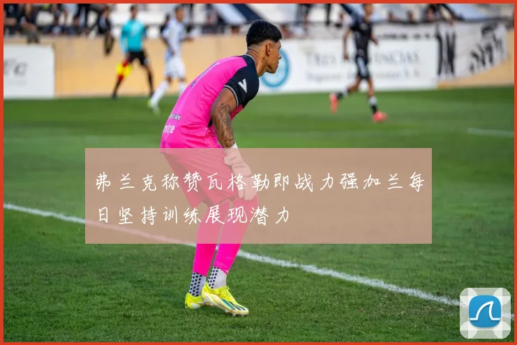 弗兰克称赞瓦格勒即战力强加兰每日坚持训练展现潜力