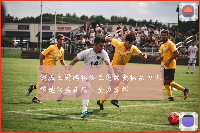 挪威主厨揭秘哈兰德饮食秘诀力求喂饱助其在场上全力发挥
